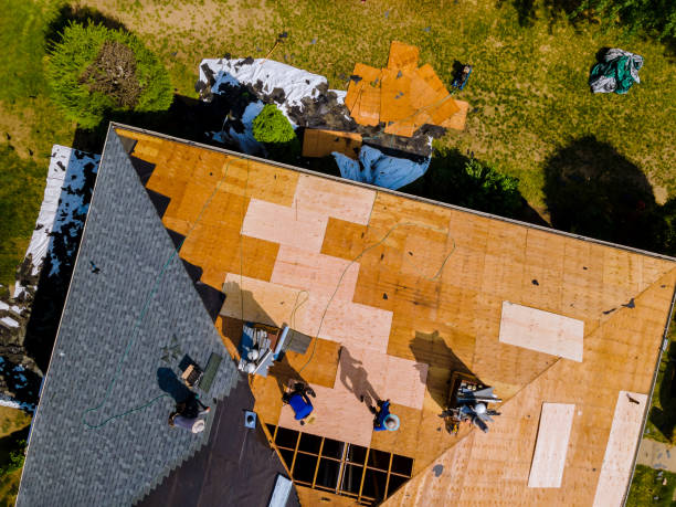 Best Flat Roof Repair Services  in Boise, ID